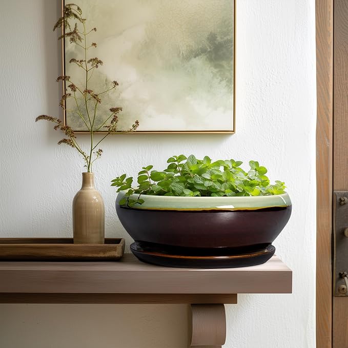 SQOWL Succulent Planters 10 Inch - Ceramic Bonsai Pots with Drainage Hole and Saucer, Shallow Indoor Planter, Round Succulent Pot, Bowl Planter Outdoor, Porch Decor, Gift for Plant Lover, Green-Brown
