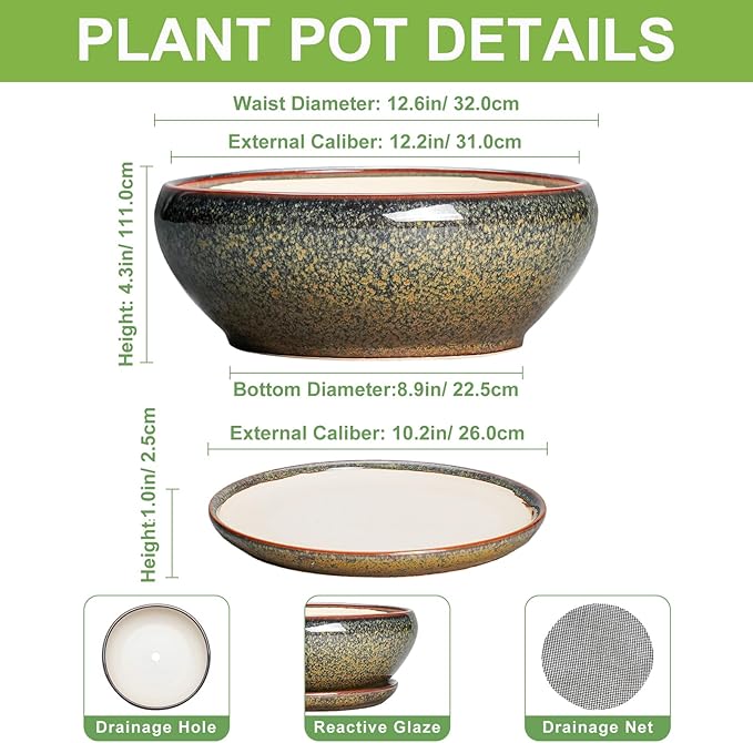 SQOWL Ceramic Bonsai Pots - 12 Inch Succulent Pots with Drainage Hole and Saucer, Large Succulent Planters, Shallow Planter Indoor Outdoor, Round Planter Bowl, Home Decor, Gift for Plant Lover, Brown