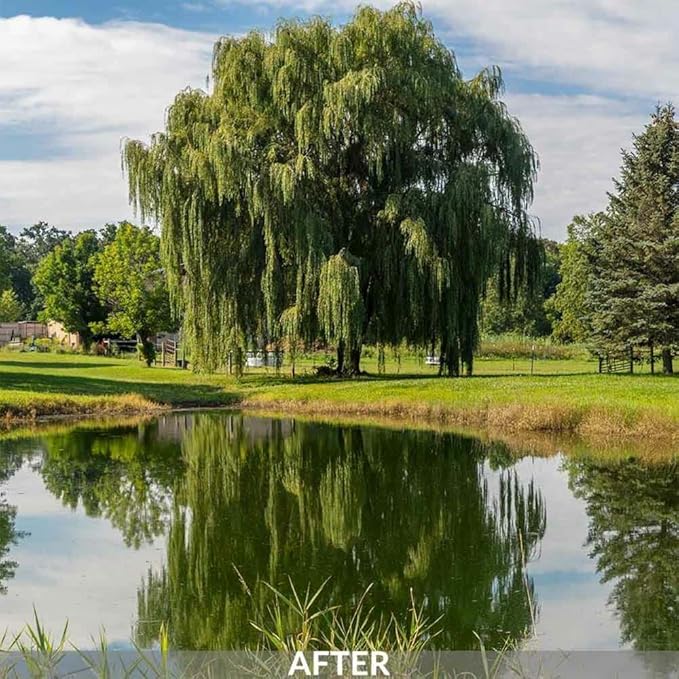 Airmax Knockdown Defense 2-in-1 Liquid Pond Algae Control, Effective & Fast Acting Algaecide, Aquatic Weed Treatment for Clear Water in Ponds & Lakes, Liquid Formulation, 16 oz with Treatment Booster