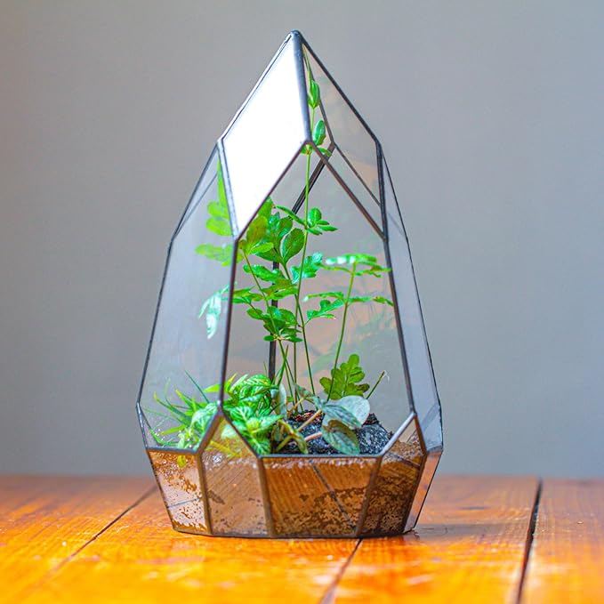 NCYP Modern Tabletop Black Glass Geometric Terrarium Container - Balcony Planter DIY Display Flower Pot for Succulent Fern - Miniature Botanical Fairy Garden, Large (No Plants, No Door)