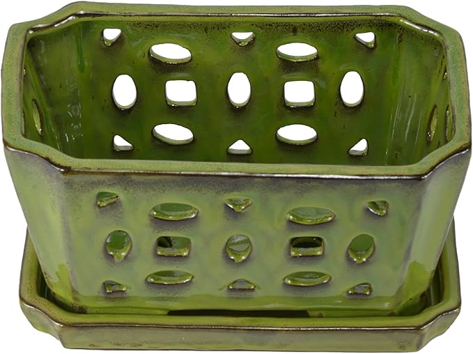 W&W Orchid Pot with Holes and Saucer for Repotting, YellowGreen, 9.7 Inches