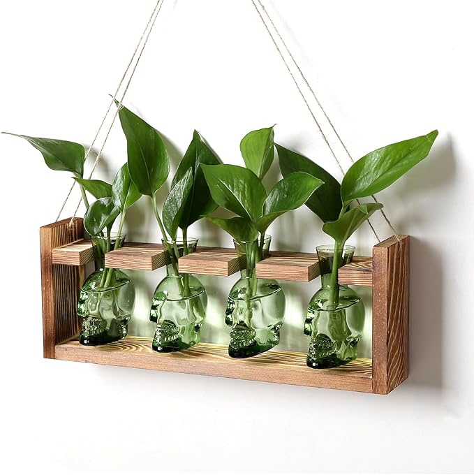 Plant Propagation Stations Halloween Skull Plant Terrarium Kit Glass Vases Gift for Father Air Planter Home Office Decor