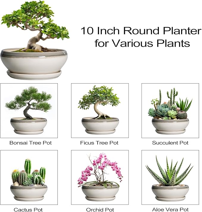 SQOWL Bonsai Pots Ceramic - 10 Inch Succulent Planters for Indoor Plants Outdoor, Shallow Round Planter with Drainage Hole and Saucer, Ceramic Planter Bowl, Office Decor, Gifts for Women, Gray-Beige