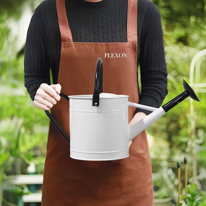 Plexon 1 Gallon Metal Watering Can Outdoor, Flower Plant Gardening Garden Large Watering Can Pot, Black Galvanized Steel Handles and Removable Spray Spout, White