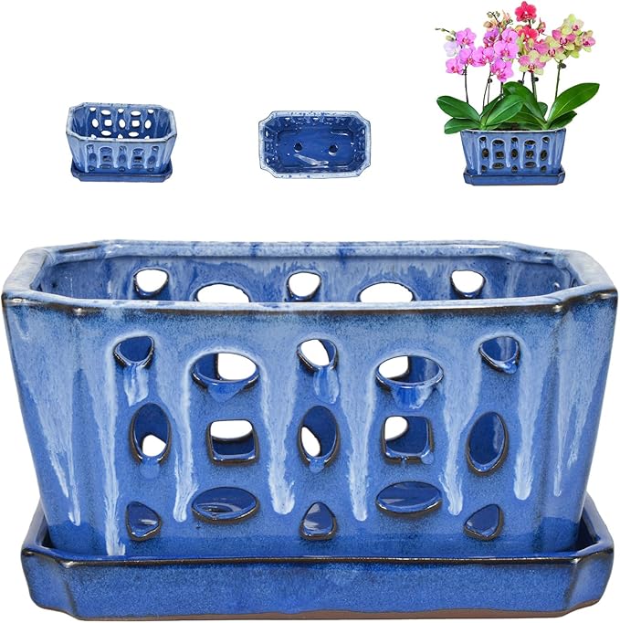 W&W Orchid Pot with Holes, Garden Pot for Orchid, Plant and Flower Pots Indoor Outdoor,White and Blue,9 Inches