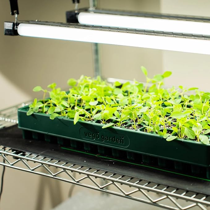 Vego garden 10" x 20" 76 Cells Seed Starter Tray Stackable Seedling Starting Germination Trays for Plants Planting Vegetables Herbs Flowers, 3 Sets