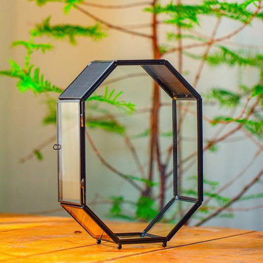 NCYP Glass Enclosure Terrarium with Mesh and Door for Jumping Spiders, Insects - Octagon Shape Small Succulents Terrarium 6.2 x 3.1 x 8.7 inches, Black Tabletop Decor (Plants Not Include)