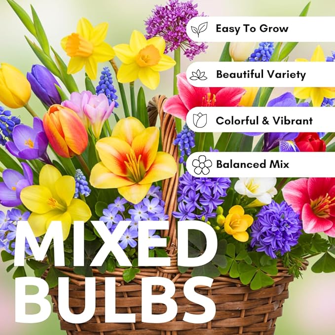 Complete Spring Flower Garden | 50 Fresh Bulbs | Bloom All Spring and Summer, Easy to Grow Flower Bulb, Indoor/Outdoor