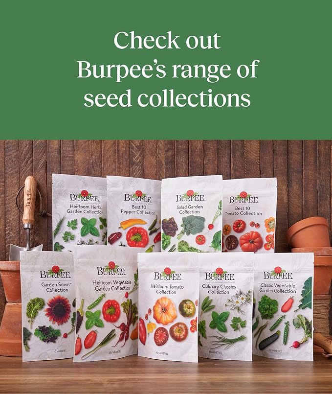 Burpee Garden Sown Flower, Herb & Vegetable 10 Packs of Non-GMO Basil, Lettuce, Cucumber, Radish, Spinach, Kale, Zucchini, Sunflower & Marigold, Seeds for Planting