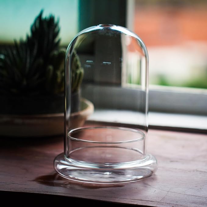NCYP Glass Dome Cloche with Base and Air Hole - 5.9 x 5.9 x 8.2 Inches Indoor Tabletop Display Terrarium for Plant, Flower - Home Modern Decoration, Clear (No Plants)