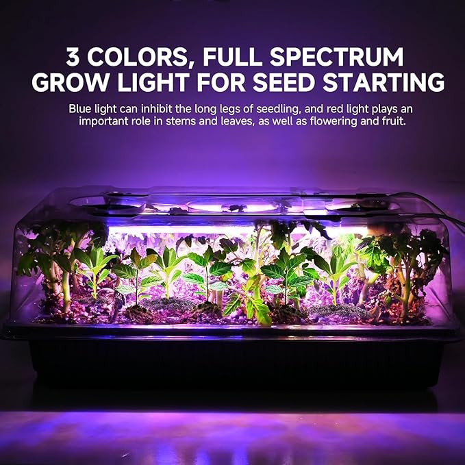 Seed Starter Tray with Grow Light and Thermostat Controller Heat Mat, 10"x 20.75" Heat Mats for Plant Growing，68-113°F Adjustable，Color Change Grow Lights，Germination Trays Kits