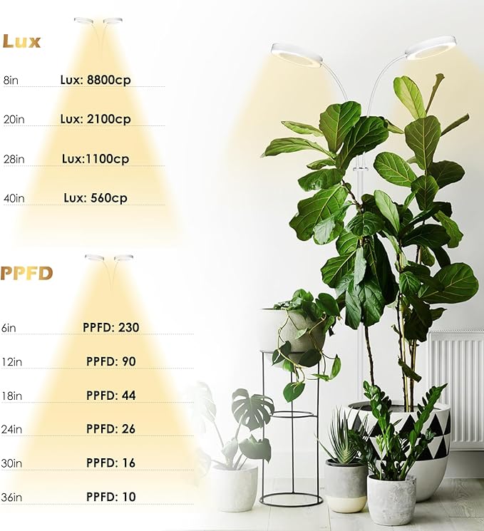 GLOWRIUM Grow Lights for Indoor Plants, Full Spectrum LED Grow Light Floor Lamp with Stand Adjustable Height and Angle, Black Plant Light with 3/9/12H Grow Light Timer (White, 36W)