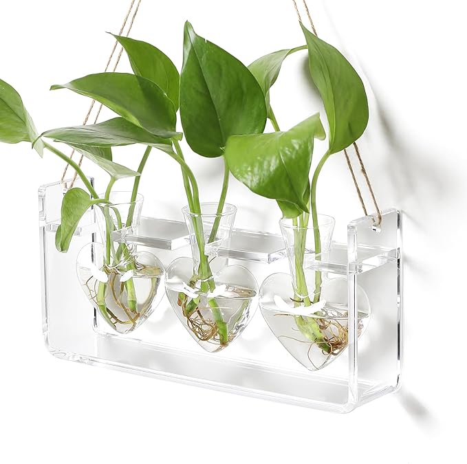 Clear Plant Propagation Station Plants Terrarium Planter Vase Birthday Gifts for Women in Acrylic Stand Home Office Garden Decor