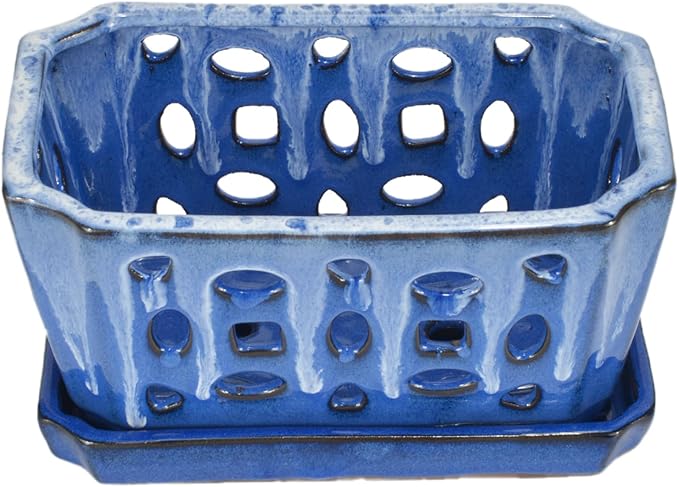 W&W Orchid Pot with Holes, Garden Pot for Orchid, Plant and Flower Pots Indoor Outdoor,White and Blue,9 Inches