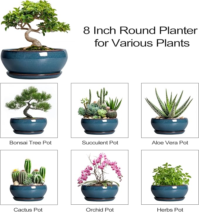 SQOWL Bonsai Pots - 8 Inch Ceramic Succulent Pots with Drainage Hole and Saucer, Round Shallow Planter for Indoor Outdoor Plants Flowers, Ceramic Planter Bowl, Room Decor, Gardening Gifts, Blue