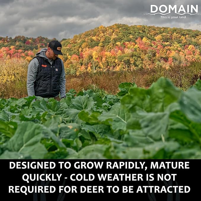 Domain Outdoor Bombshell Food Plot Seed for Deer, 1/2 Acre, Designed to Handle The Toughest Conditions, Quick Establishment - Ethiopian Cabbage, Forage Collards, Hybrid Forage Brassica, Forage Turnip