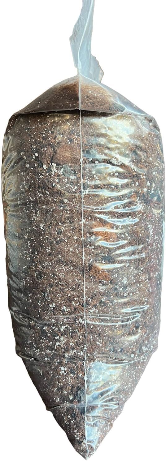 Hoya Classic Potting Soil - rePotme Houseplant Potting Soil Mix (Junior Bag - 4 Quarts)