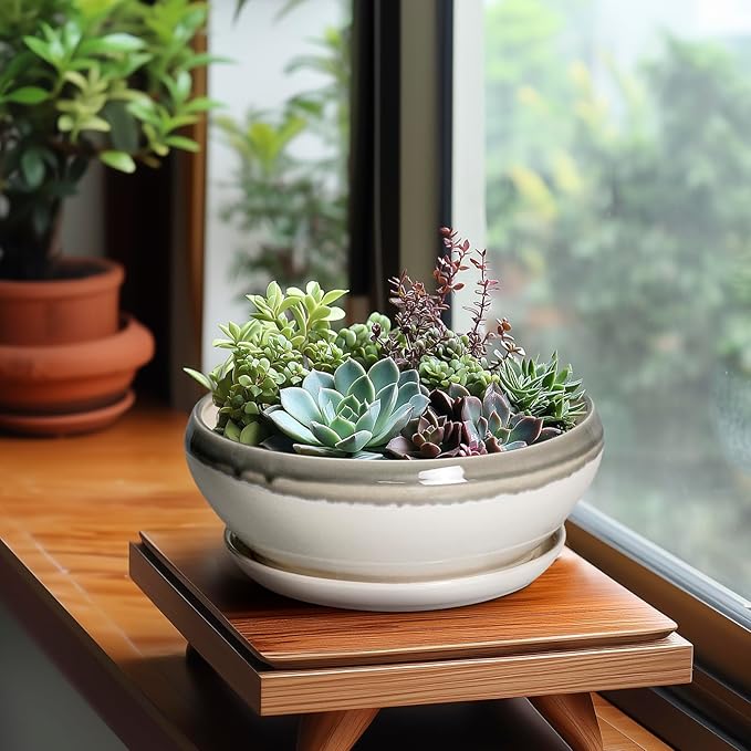SQOWL Bonsai Tree Pots - 8 Inch Ceramic Succulent Pots with Drainage Hole and Saucer, Shallow Round Planter Indoor Outdoor, Ceramic Bonsai Pot, Planter Bowl, House Decor, Plant Lover Gift, Gray-Beige