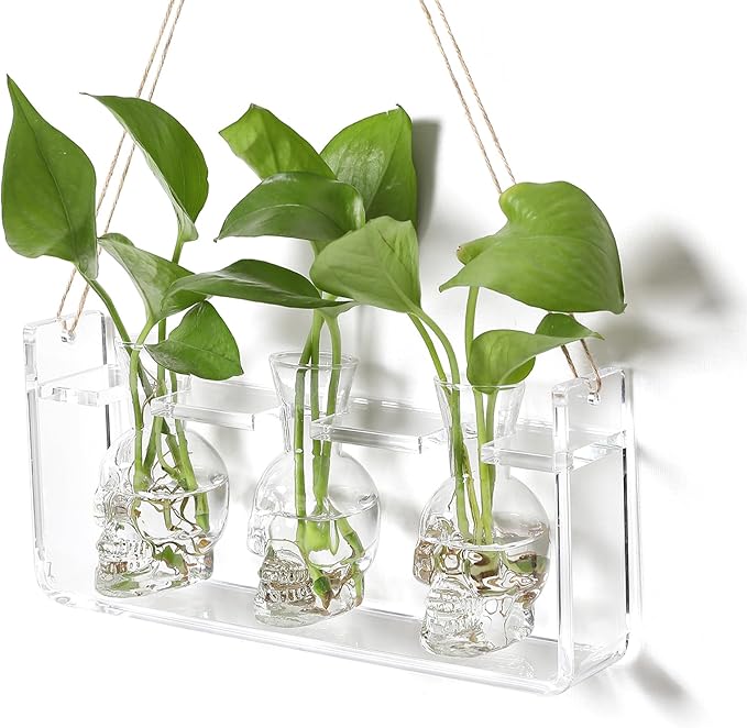 Clear Plant Propagation Station Plants Terrarium Planter Vase Birthday Gifts for Women in Acrylic Stand Home Office Garden Decor