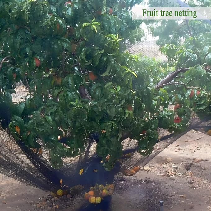 Woven Bird Netting 10X30 FT, 1/2" Mesh, Strong Bird Net Protect Fruit Trees, Blueberry, Vegetables, Strawberry Plants, Garden Netting Pest Barrier, Against Deer, Squirres, Small Critters