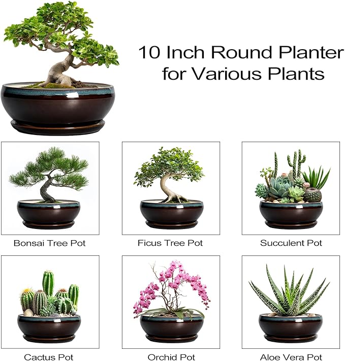 SQOWL Bonsai Tree Pots - 10 Inch Ceramic Succulent Pots with Drainage Hole and Saucer, Round Shallow Plant Pot Indoor Outdoor, Ceramic Bonsai Pot, Bowl Planter, Home Decor, Garden Gifts, Blue-Brown