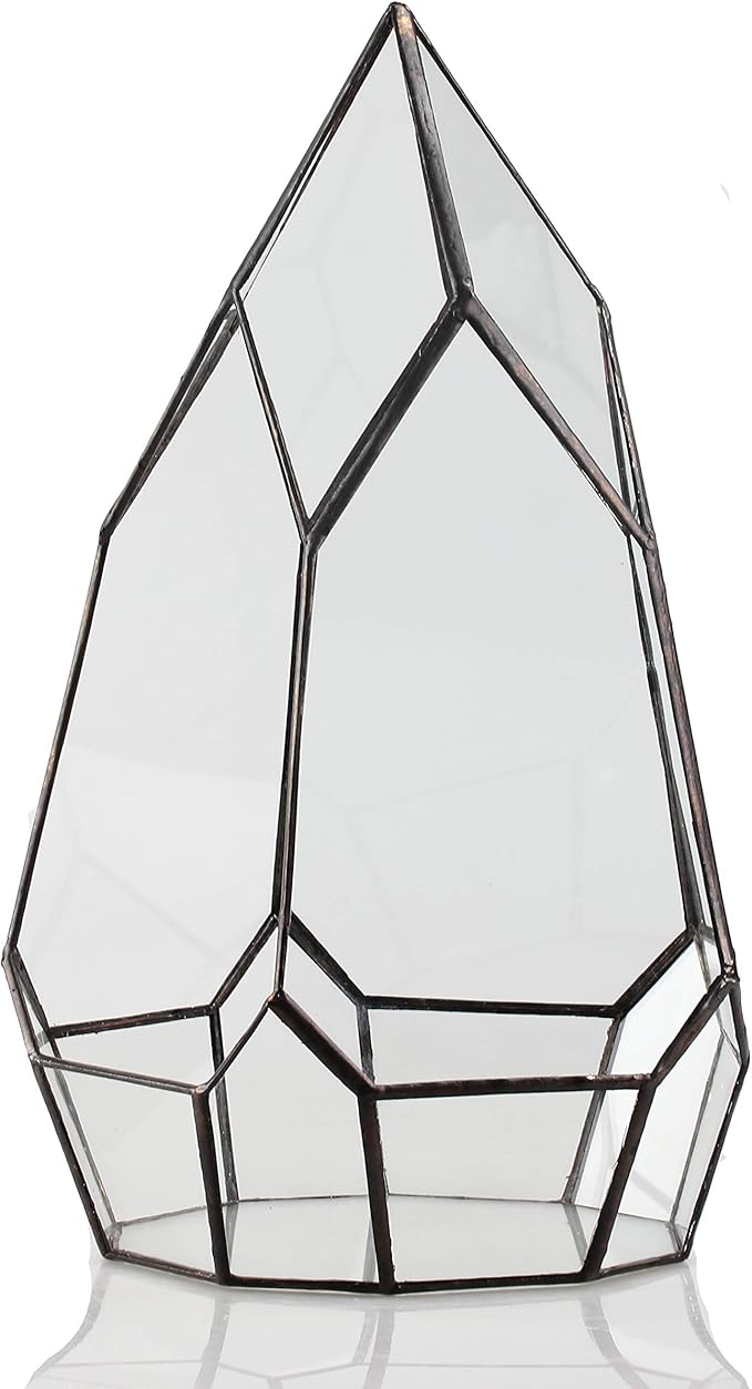NCYP Modern Tabletop Black Glass Geometric Terrarium Container - Balcony Planter DIY Display Flower Pot for Succulent Fern - Miniature Botanical Fairy Garden, Large (No Plants, No Door)