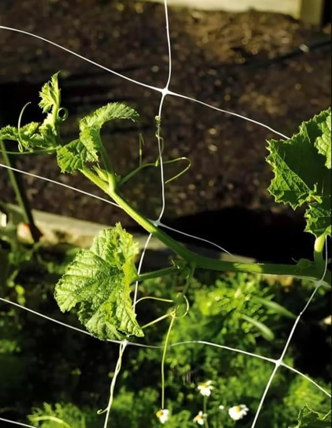 Trellis Netting, Aaamazing Netting, Scrog Net, Trellis Net, 10ft x 4920ft Roll, for Climbing Plants, Cut Flower Support, Garden, Grow Pea, Bean, Grape Vine, Mesh, Heavy Duty, 6x6 Inch Squares - Folded