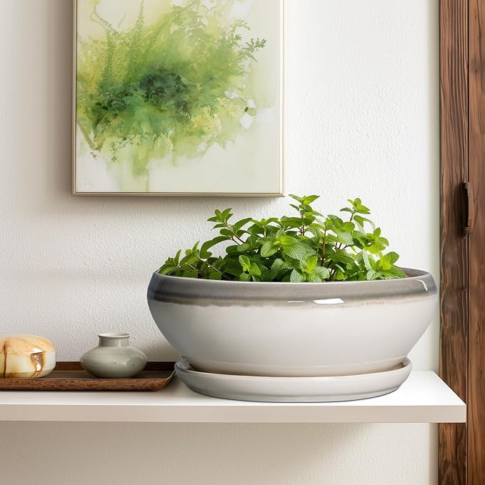 SQOWL Large Succulent Planters - 12 Inch Ceramic Bonsai Pots with Drainage Hole and Saucer, Shallow Round Planter for Indoor Plants, Bowl Planter Outdoor, Living Room Decor, Birthday Gift, Gray-Beige