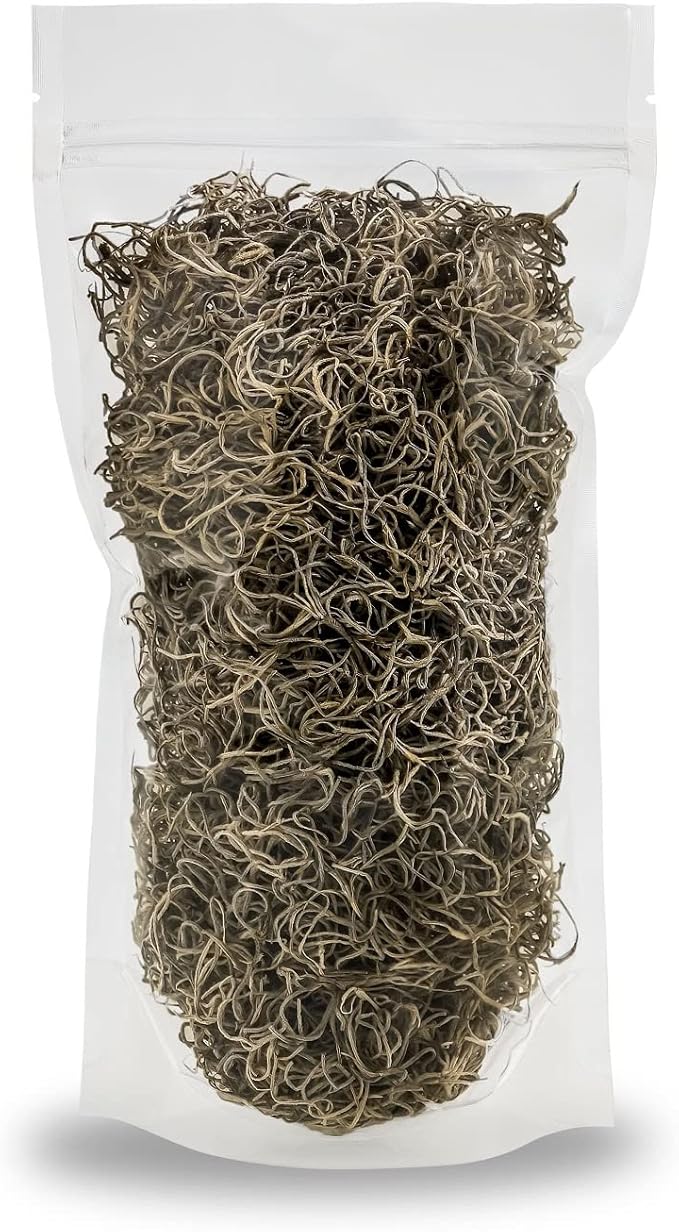Premium Natural Spanish Moss | Natural Preserved - Great Ground Cover - Filler for Potted Plants - by GARDENERA - 4 Quart Bag