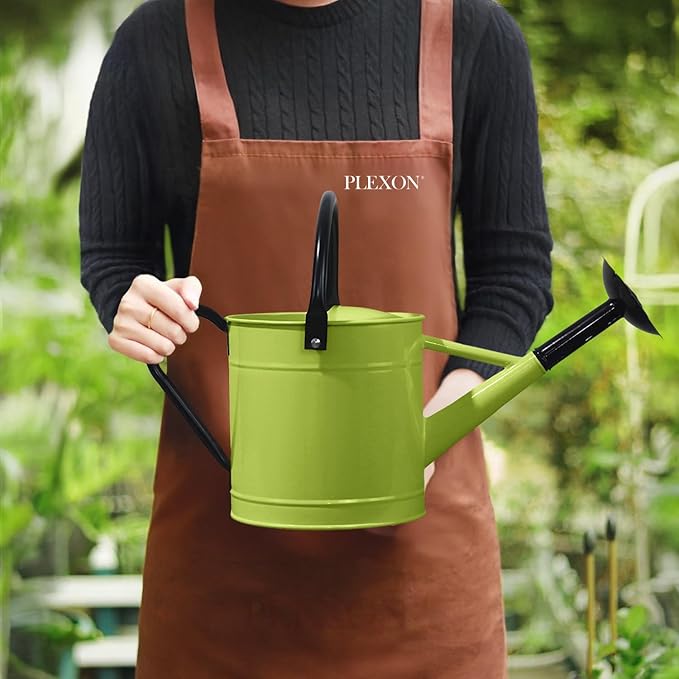 Plexon 1 Gallon Metal Watering Can Outdoor, Flower Plant Gardening Garden Large Green Watering Can Pot, Galvanized Steel Handles - Removable Spray Spout, Green