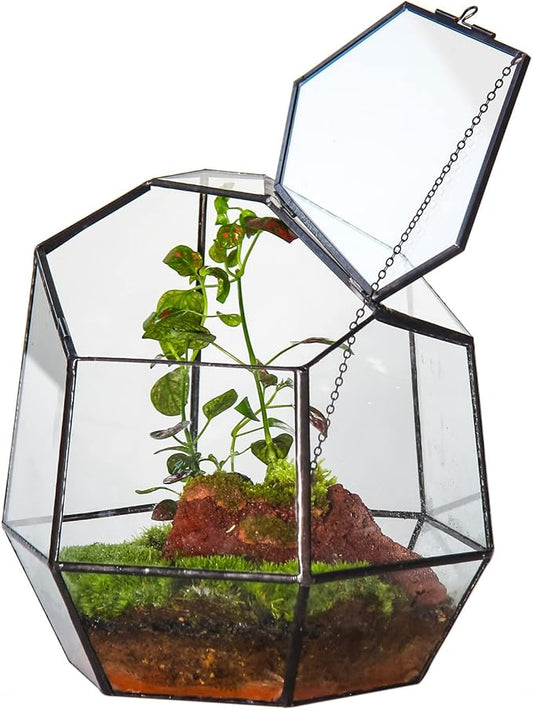 NCYP Handmade 7.5inches Small Close Geometric Terrarium with Door, Black Irregular Glass Planter, Modern Succulent Cacti Flower Pot, Home Garden Decor DIY Gift (Plants and Props NOT Included)