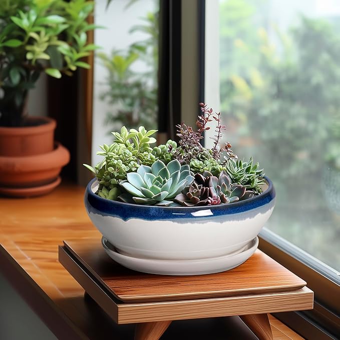 SQOWL Bonsai Pots Ceramic - 8 Inch Succulent Planters Indoor, Succulent Pot with Drainage Hole and Tray, Shallow Ceramic Plant Pot Outdoor, Round Bowl Planter, Porch Decor, Gardening Gift, Blue-Beige