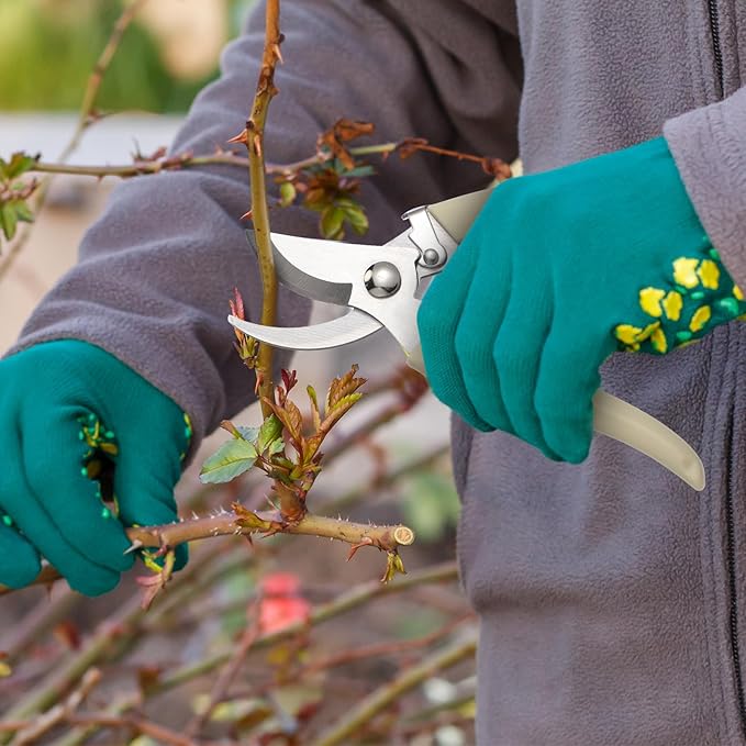 Therwen 12 Pcs Garden Shears Flower Scissors Pruning Shears Floral Garden Clippers Hand Pruners Branch Cutter Gardening Tools for Plants Cutting, Trimming, Fruits Picking (Beige,Bypass)