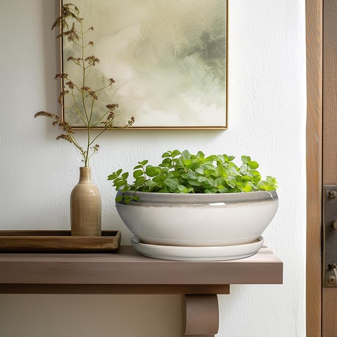 SQOWL Bonsai Pots Ceramic - 10 Inch Succulent Planters for Indoor Plants Outdoor, Shallow Round Planter with Drainage Hole and Saucer, Ceramic Planter Bowl, Office Decor, Gifts for Women, Gray-Beige