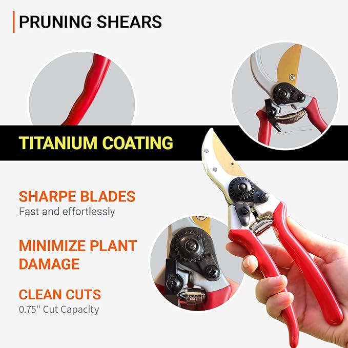 Pruning Shears Gardning Tool