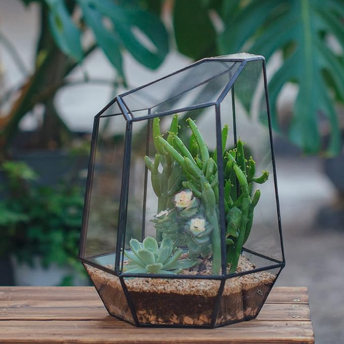 NCYP Close Geometric Glass Terrarium with Door - 9.8 inches Tall Irregular Planter for Succulents, Small Cacti, Modern Home Garden Tabletop Decor, Black, Handmade (Plants NOT Included)