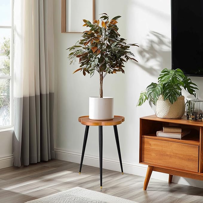Plant Stand Indoor, Wood Plant Table Plant Holder with Raised Design,Heavy Duty Metal Flower Pot Stand, Mid Century Modern Home Decor Small Side End Table（Clr.1-Flower 16" H）
