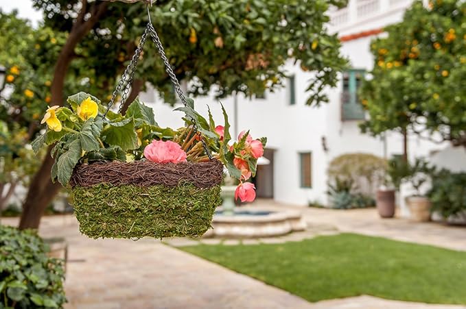 SuperMoss (29212) MossWeave Hanging Basket - Square, Fresh Green with Wicker Rim, Small (10.5 Diameter)"