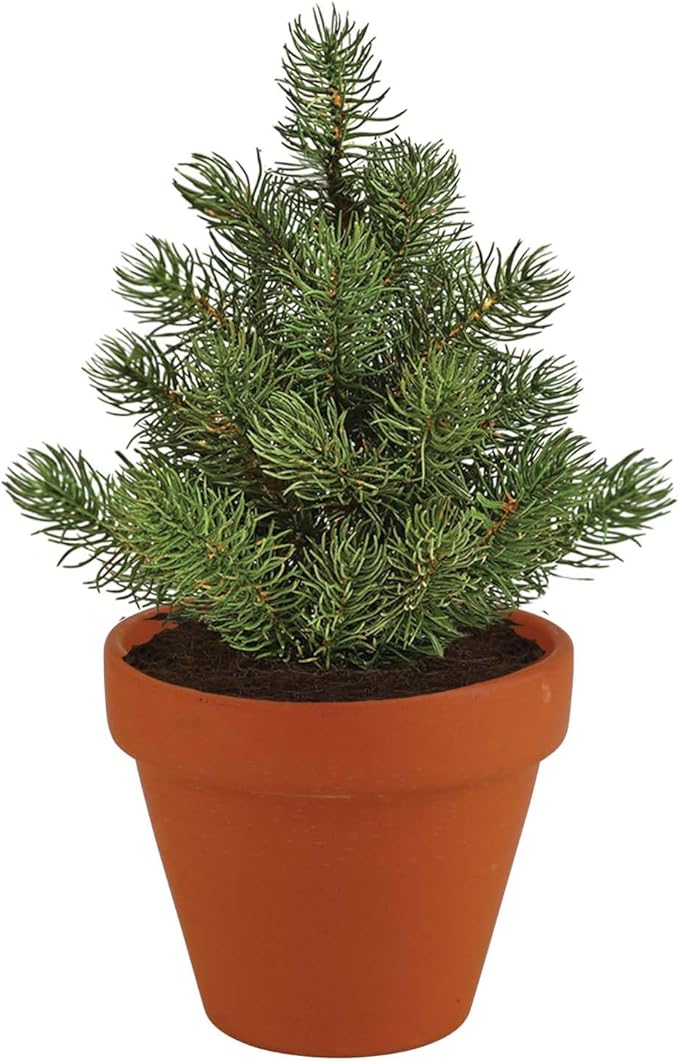 BUZZY Seeds Holiday Spruce Tree Kit 4-Pack Mini Terracotta Pots with Non-GMO Seeds and Growing Medium – Indoor Gardening Gift and Fun Stocking Stuffer for Tree Huggers, Family and Nature Lovers