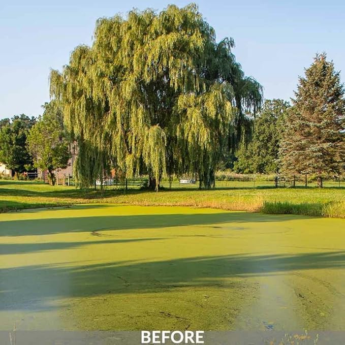Airmax Knockdown Defense 2-in-1 Liquid Pond Algae Control, Effective & Fast Acting Algaecide, Aquatic Weed Treatment for Clear Water in Ponds & Lakes, Liquid Formulation, 16 oz with Treatment Booster