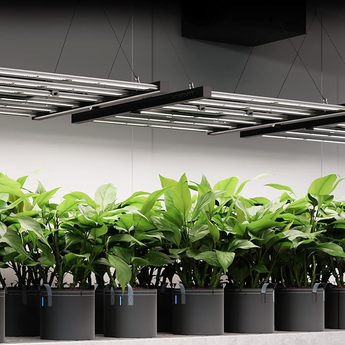 AC Infinity IONFRAME EVO10, Samsung LM301H EVO Bar LED Grow Light 5x5, 3710 Diodes, with Schedule Controller, 1000W Full-Spectrum Commercial Plant Lights for Indoor Growing in Grow Rooms & Greenhouses