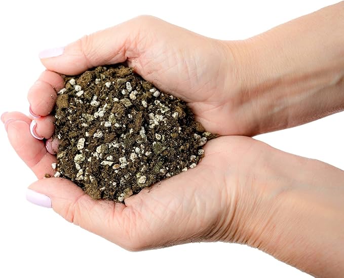 Premium African Violets and Gesneriad Premium Soil Mix by Gardenera - Horticultural Perlite (25%) + Vermiculite (25%) + Sphagnum Peat Moss (50%) - Made in USA - (3 Quart Bag)