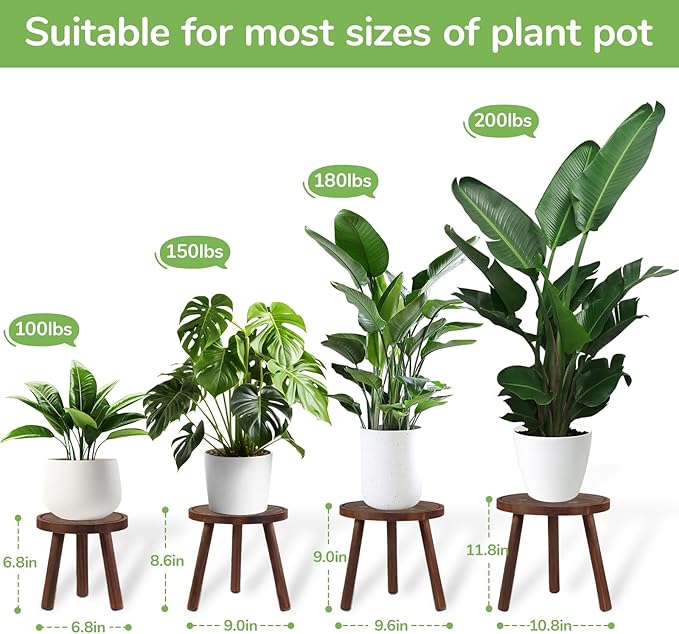 4-Pack Wood Plant Stands Indoor Outdoor, Heavy Duty 6-12 Inch Flower Pot Holder Stand, Natural Camphor Pine Wood Modern Large Plant Stool for Multiple Potted Plants, Home Office Garden & Bar Decor
