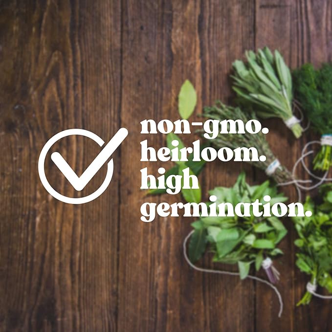 Basil Seeds - Lettuce Leaf - 1 Oz ~2,000 - Culinary Herb Gardening & Microgreens Seeds - Non-GMO, Heirloom, Open Pollinated, Annual