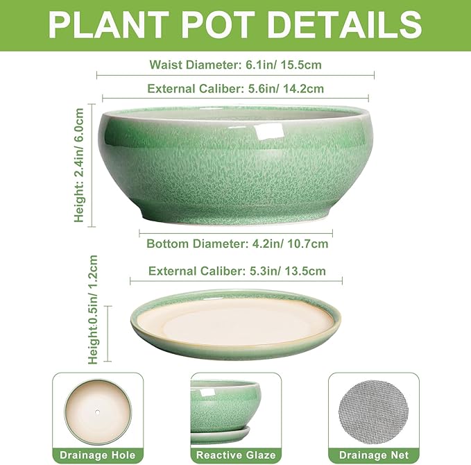 SQOWL Succulent Pots 6 Inch - Ceramic Bonsai Planter for Indoor Plants Outdoor, Shallow Planter with Drainage Hole and Tray, Round Planters for Cactus Flower, Office Decor, Gardening Gifts, Green