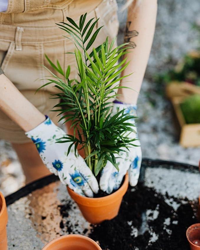 Gardenera's Peace Lilies Potting Mix - Ensure Peace Lily Health with Gardenera's Expertly Blended Soil Mix [5-Quart Bag]