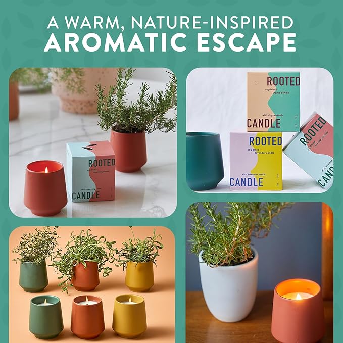 Modern Sprout Rooted Candle - 2 in 1 Tonka Bean Scented & Soy Candle with Seeds That Grows into Thyme Plant - 6 oz w/ 42 hr Burn time in Matte Glaze Ceramic Vessel Ideal for Indoor Herb Garden