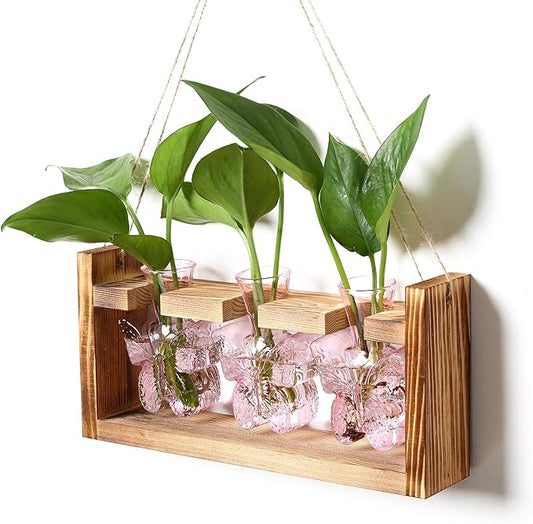Glass Plant Propagation Station Butterfly Vases for Plants Birthday Gifts for Women Mom Office Home Decoration with Wooden Stand