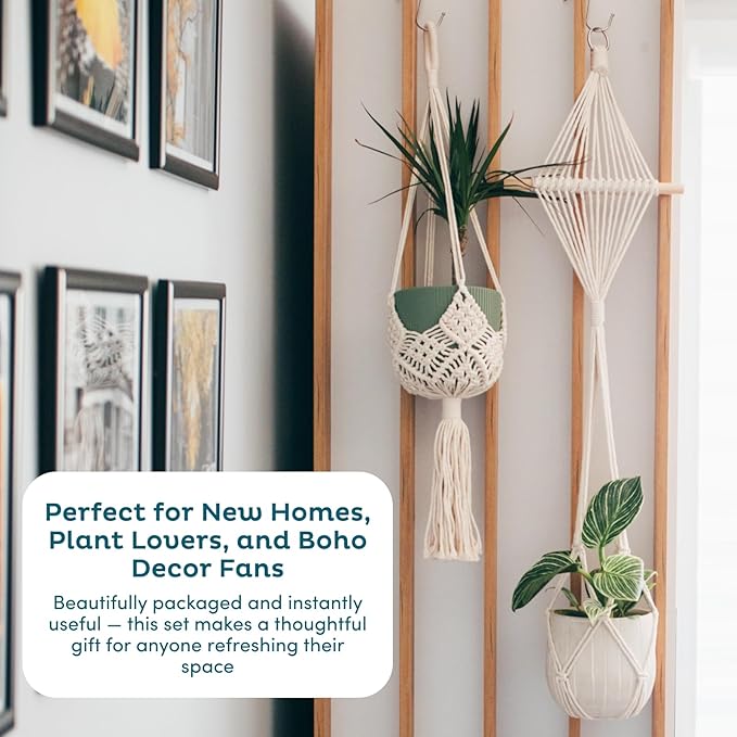 Nook Theory 4-Pack Macrame Plant Hangers with 8 Hooks - Hanging Planters for Indoor Plants, Boho Macrame Hangers Indoor Outdoor, Decorative Plant Hanger Indoor (Cream)