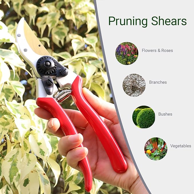 Pruning Shears Gardning Tool